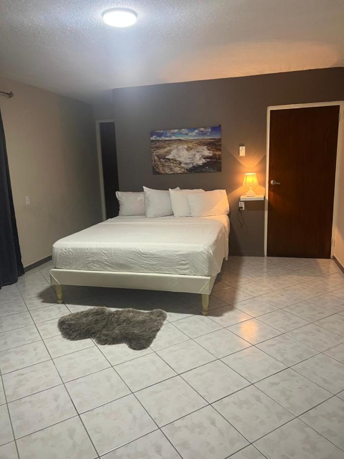 Cataleya Apartments Near Airport 빌렘스타트 외부 사진